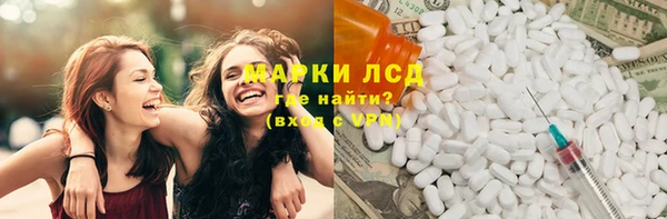 индика Коряжма