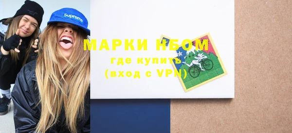индика Коряжма