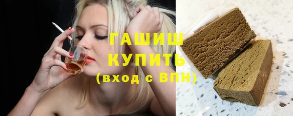 индика Коряжма