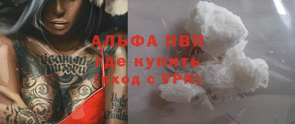 индика Коряжма