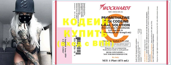 индика Коряжма