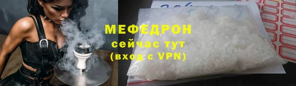 индика Коряжма