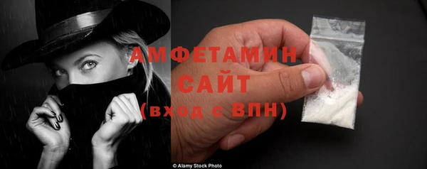 индика Коряжма