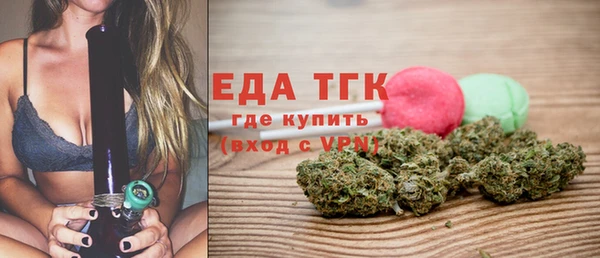 индика Коряжма