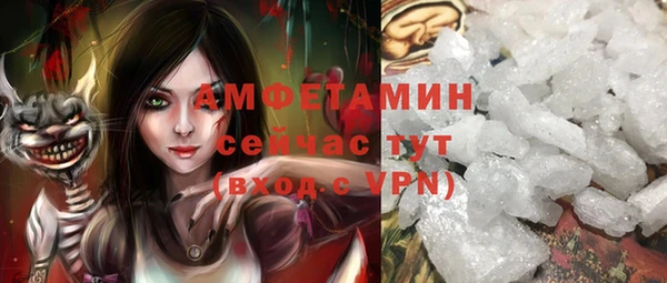 индика Коряжма