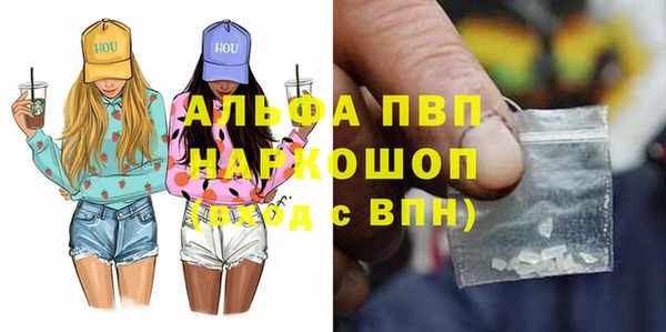 индика Коряжма